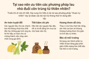Mẹo lau nhà đuổi muỗi và côn trùng hiệu quả, an toàn